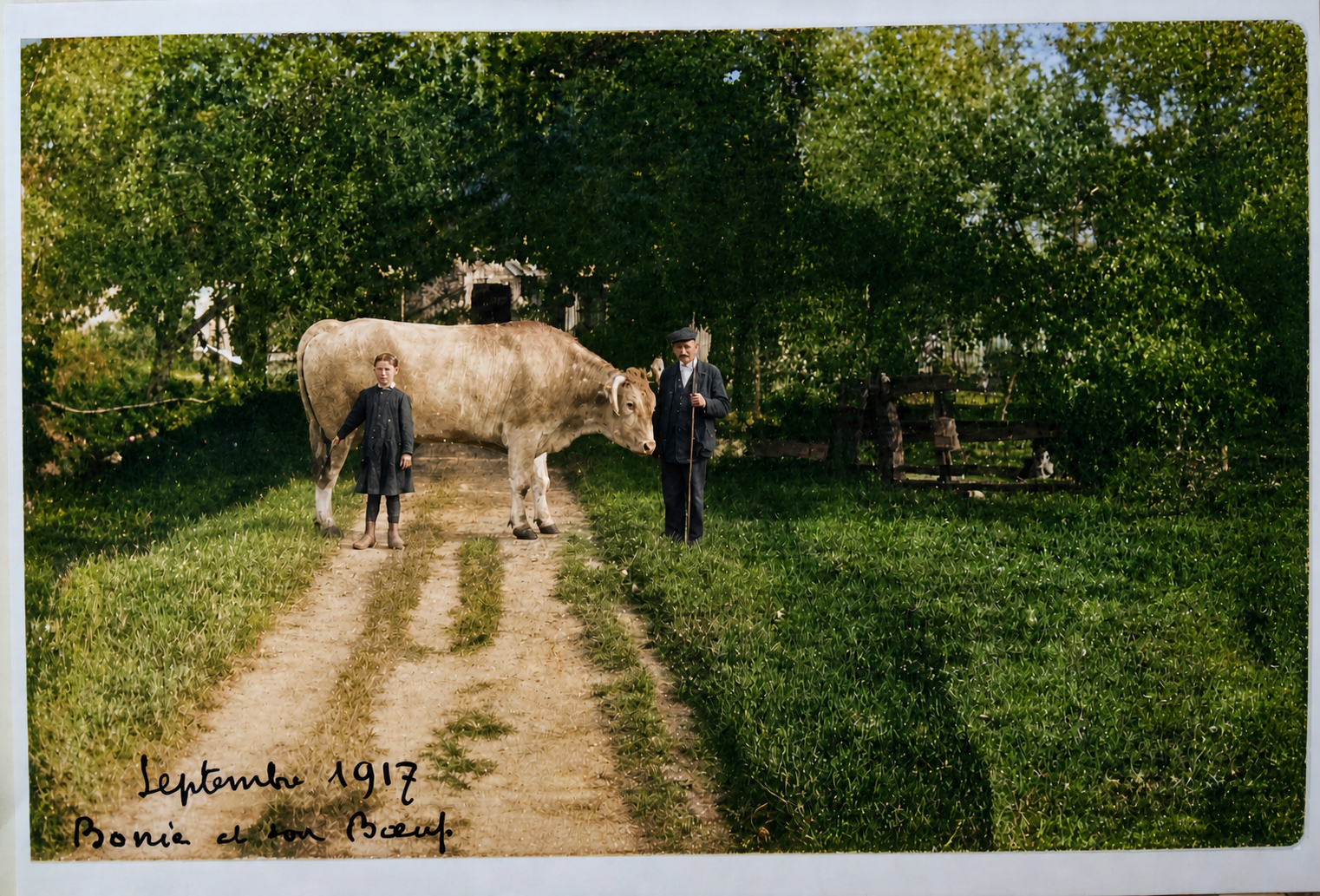 Photographie ancienne de famille avec une vache sur un chemin de campagne